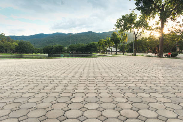 Best Brick Driveway Pavers  in Dahlgren, VA