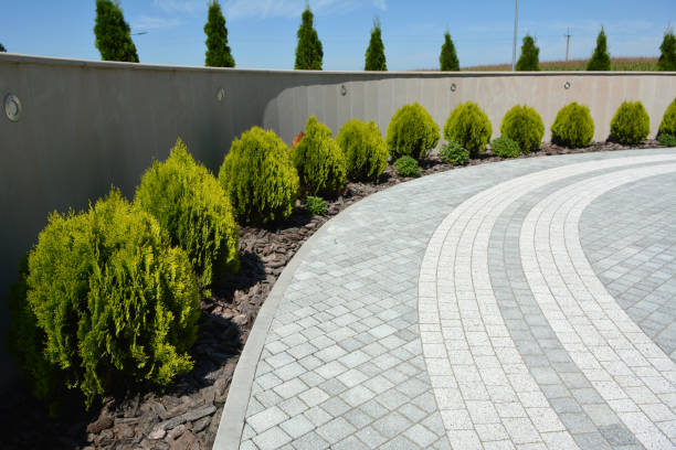 Best Residential Paver Driveway  in Dahlgren, VA